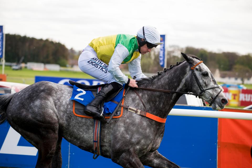  Cloudy Dream could cause a shock in the Melling Chase