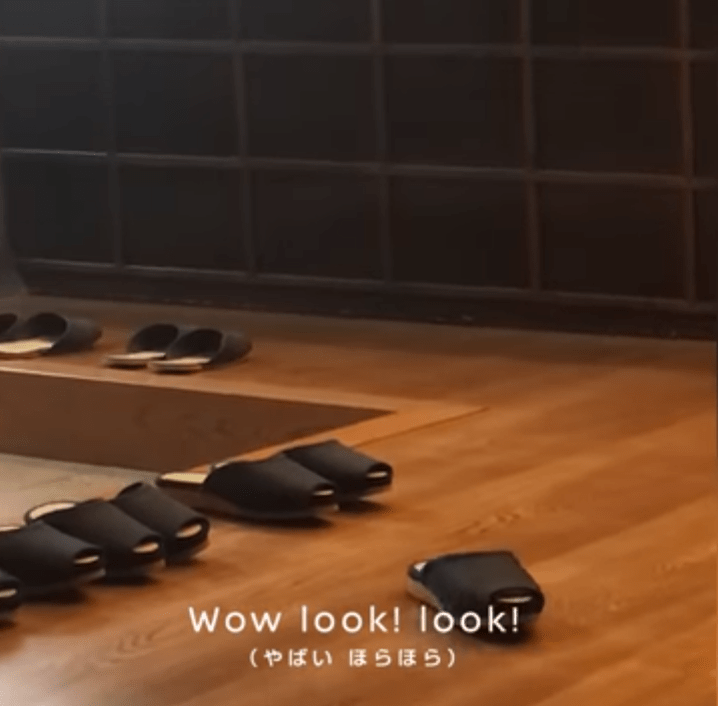  A hotel has rolled out slippers that park themselves