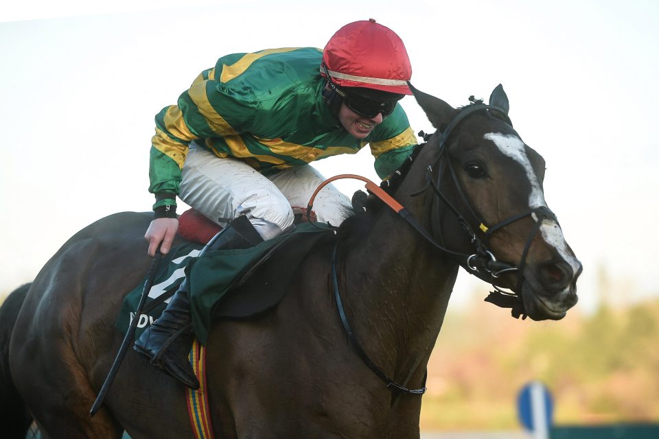  Nico de Boinville thinks Anibale Fly can win the Grand National