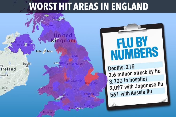 Flu deaths have risen to 215 this winter