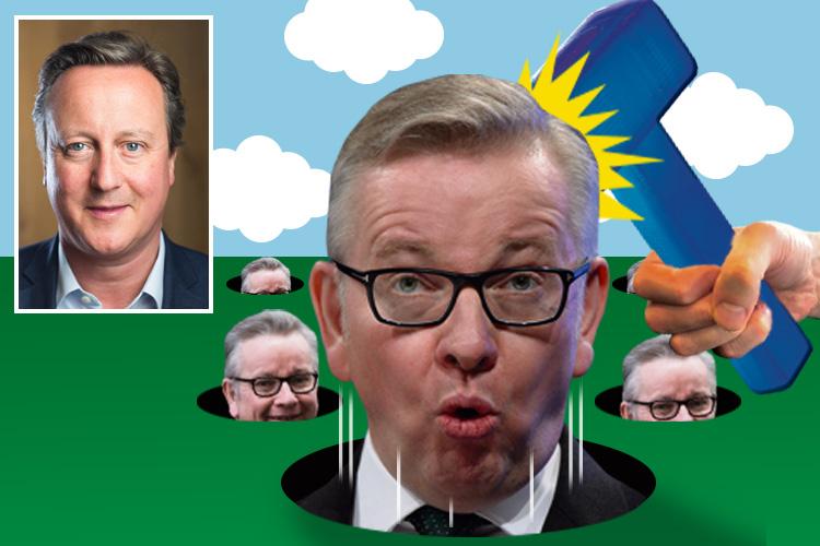  David Cameron reportedly enjoys playing the Whack-a-Gove game, and delights in showing it off