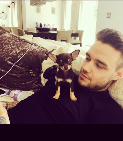  Liam has used social media to praise Cheryl's mothering skills in the past