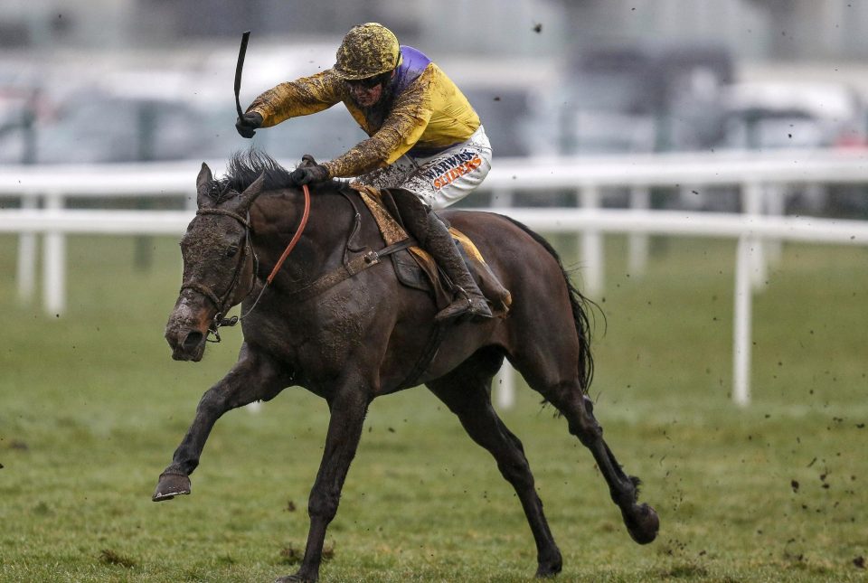  Kalashnikov has a big chance in the Supreme Novices' Hurdle for Amy Murphy