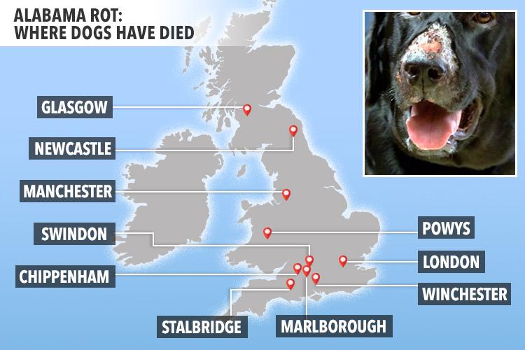  A map showing UK dog deaths due to Alabama Rot