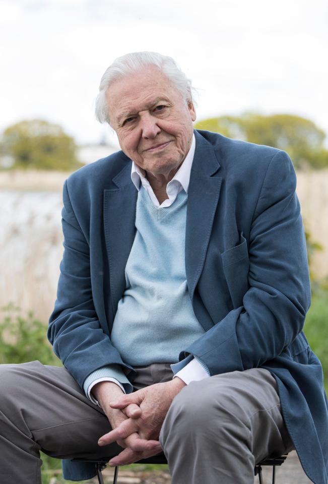  David Attenborough is coming back to BBC One with Dynasties