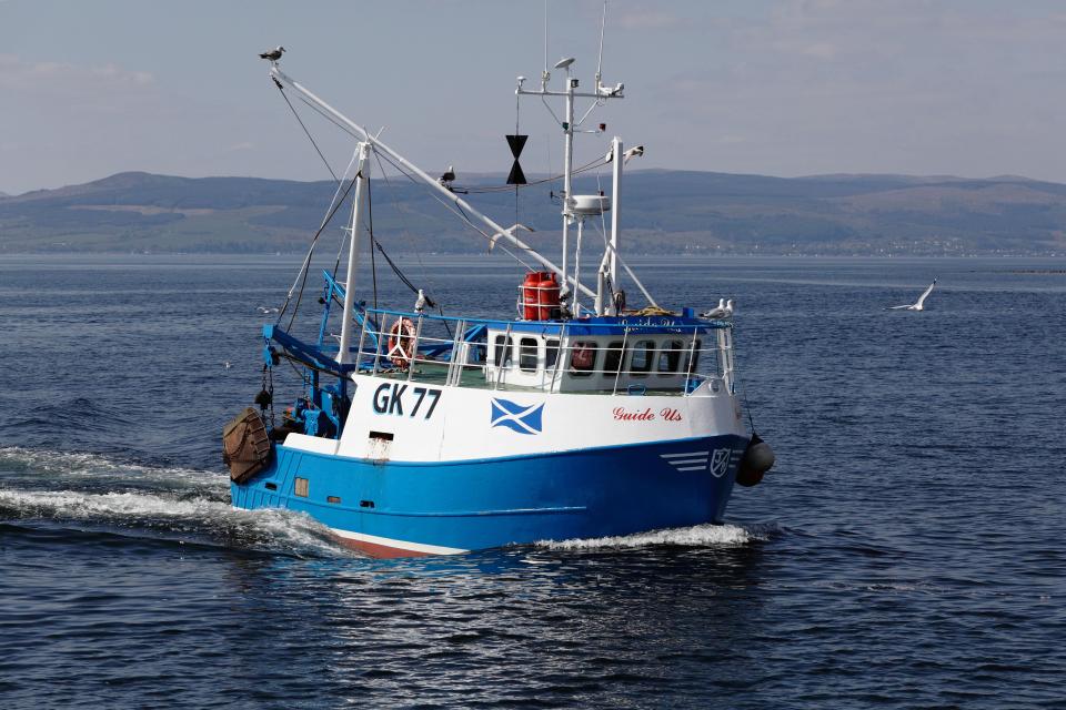  British fishermen will be free to trade with Brussels under World Trade Organisation terms freeing them from EU restrictions