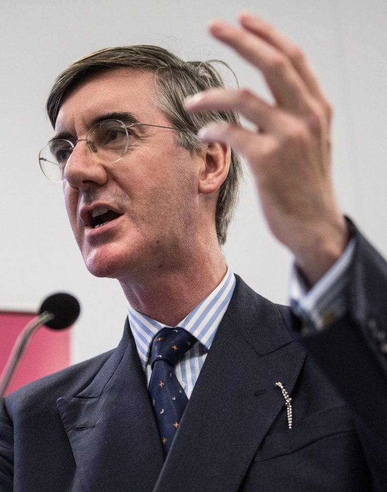  Jacob Rees-Mogg is the bookie's favourite to replace the PM - but the plotters want him in Number 11, not Number 10