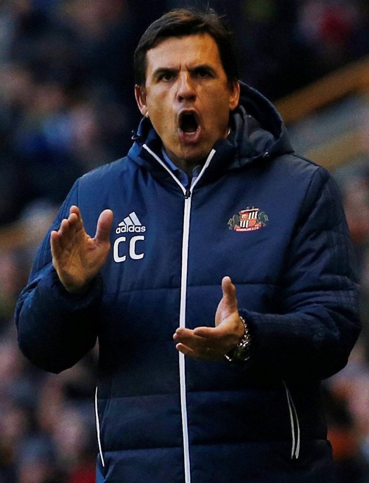  Ex-Wales boss Chris Coleman is finding out just how hard the Black Cats' gig is