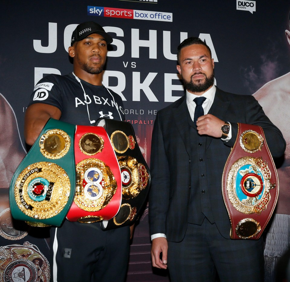 The 2012 Olympic champion is currently preparing for a unification bout against WBO champ Joseph Parker