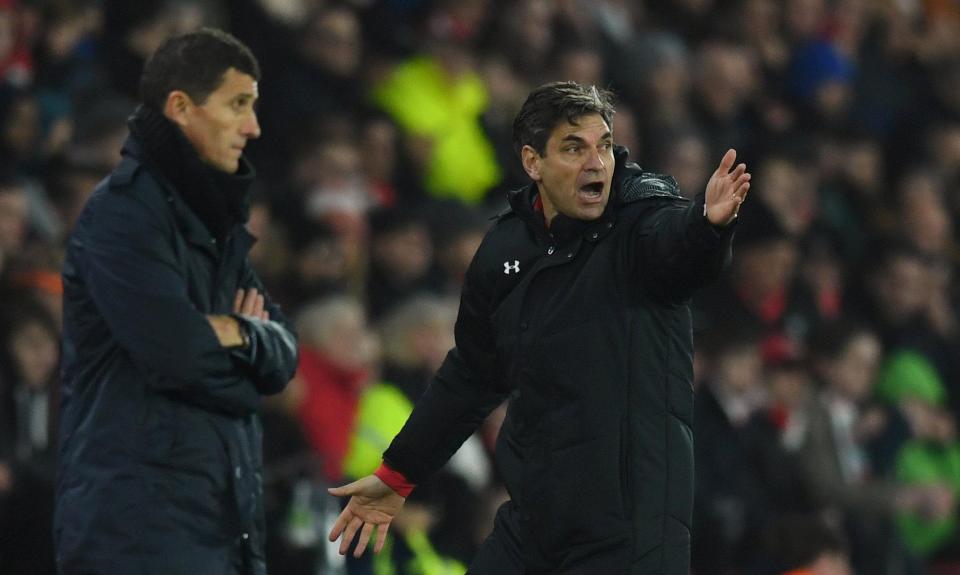  Pellegrino is not to blame for the reason Southampton are in the bottom three