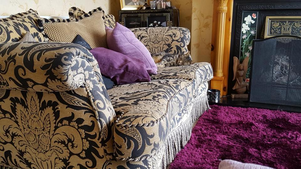  Not to be out done by their canine rivals, cats have also got in on the act with this cute moggie having a nice nap on the sofa, but can you tell exactly where?