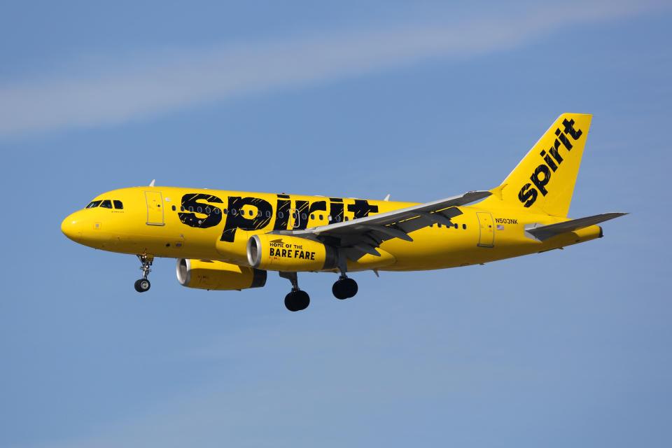  A Spirit Airline spokesperson said: 'To be clear, at no point did any of our agents suggest this guest (or any other for that matter) should flush or otherwise injure an animal'