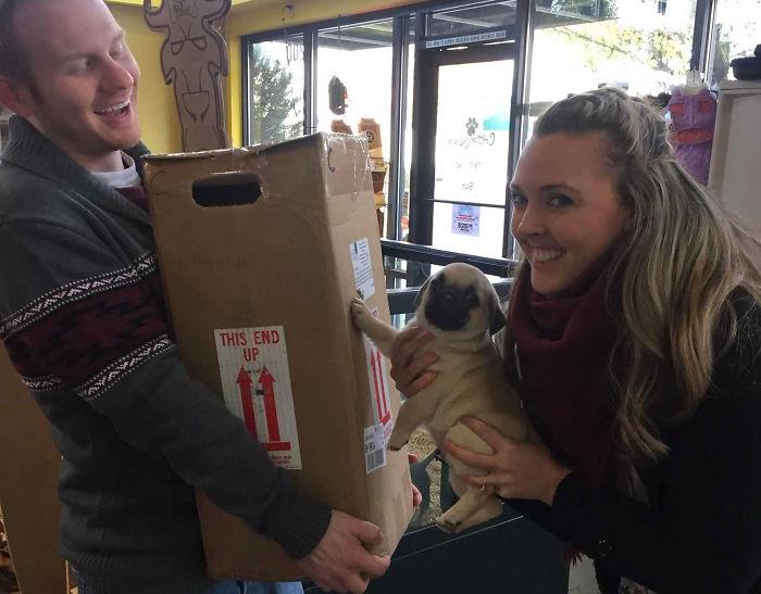  Shipping the precious package made them nervous, so they decided to transport them in their own car