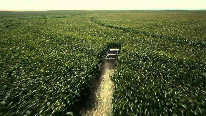  In Christopher Nolan's sci-fi film Interstellar, the director did not want a fake looking cornfield for a scene when a character drives through the crops. Instead, he planted 500 acres of corn then sold it off for a massive profit