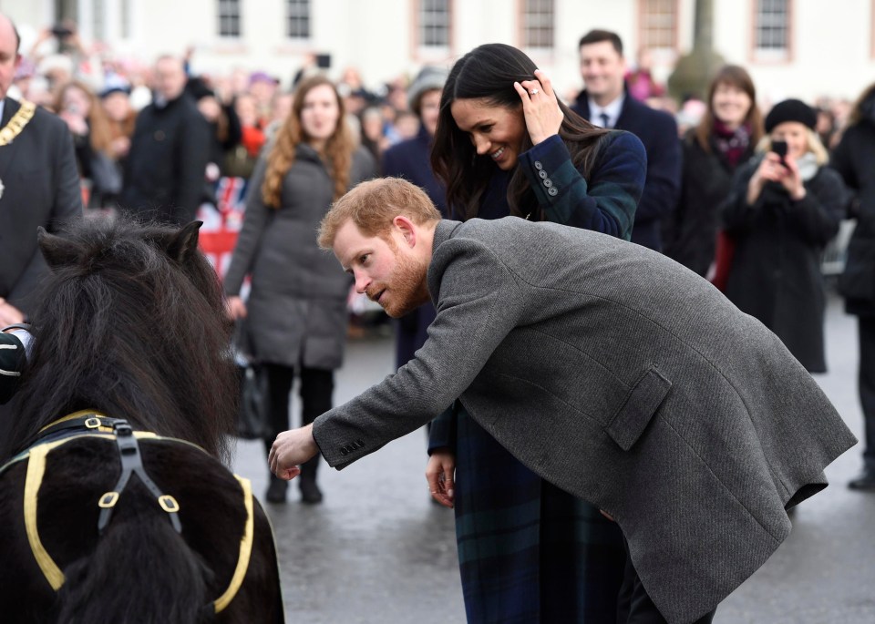 Meghan Markle and Prince Harry are introduced to the mascot of the Royal Regiment of Scotland