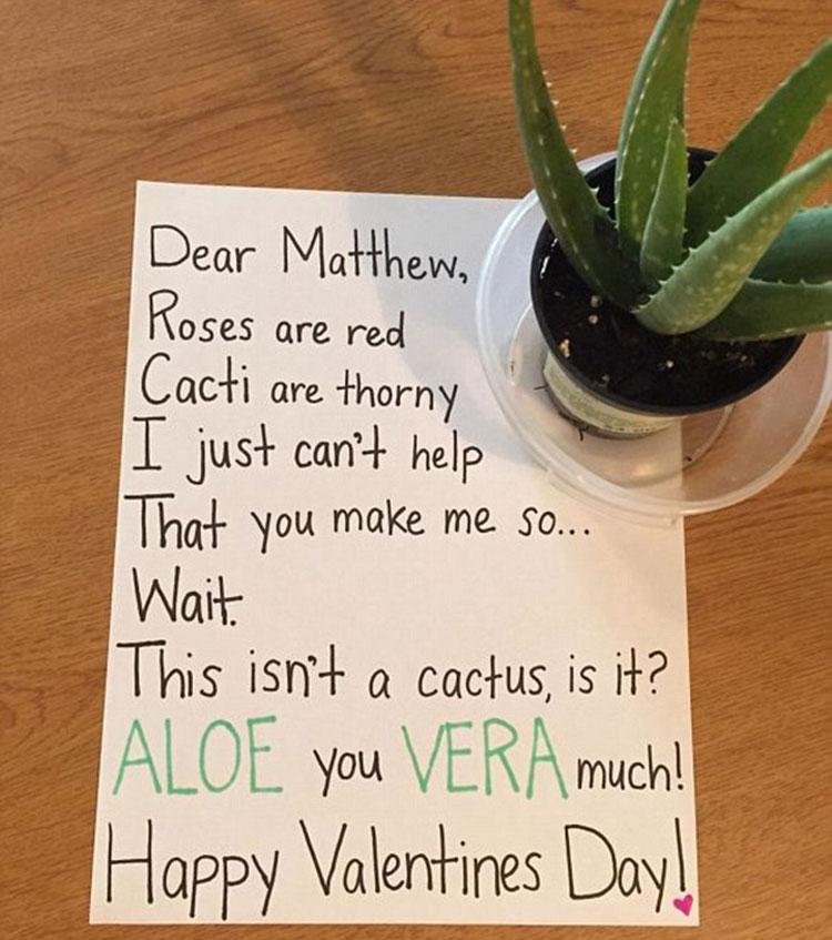  This could have ended very differently for Matthew if this had been a cactus