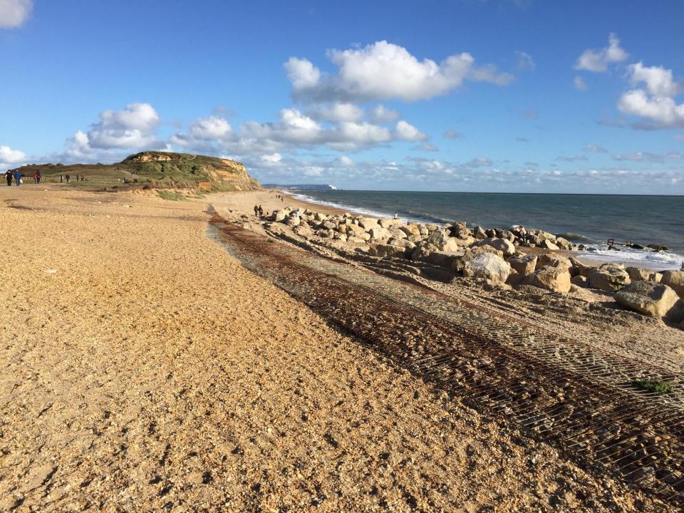 Hengistbury Head is home to over 500 plant species and 300 types of birds