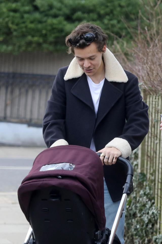  Harry is one of two 1D star yet to become a dad