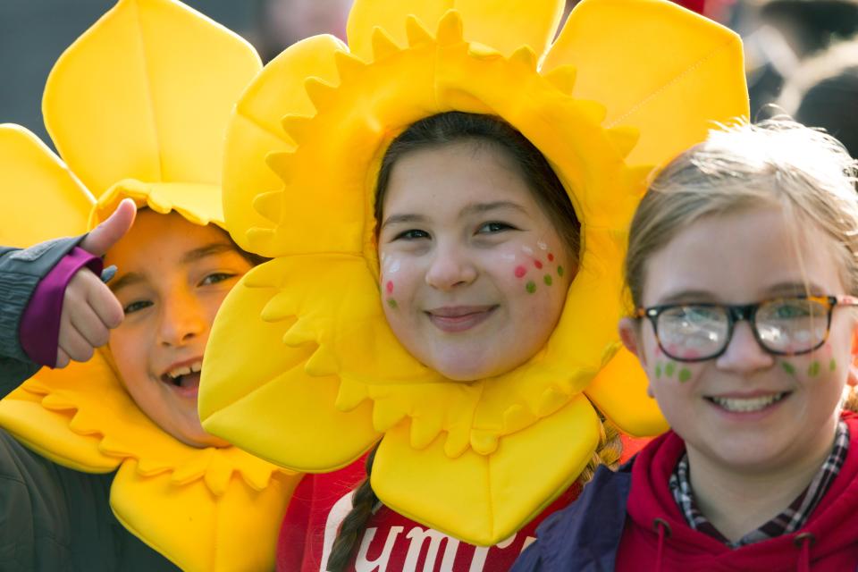  Celebrate St David's Day today by tucking into some traditional Welsh grub