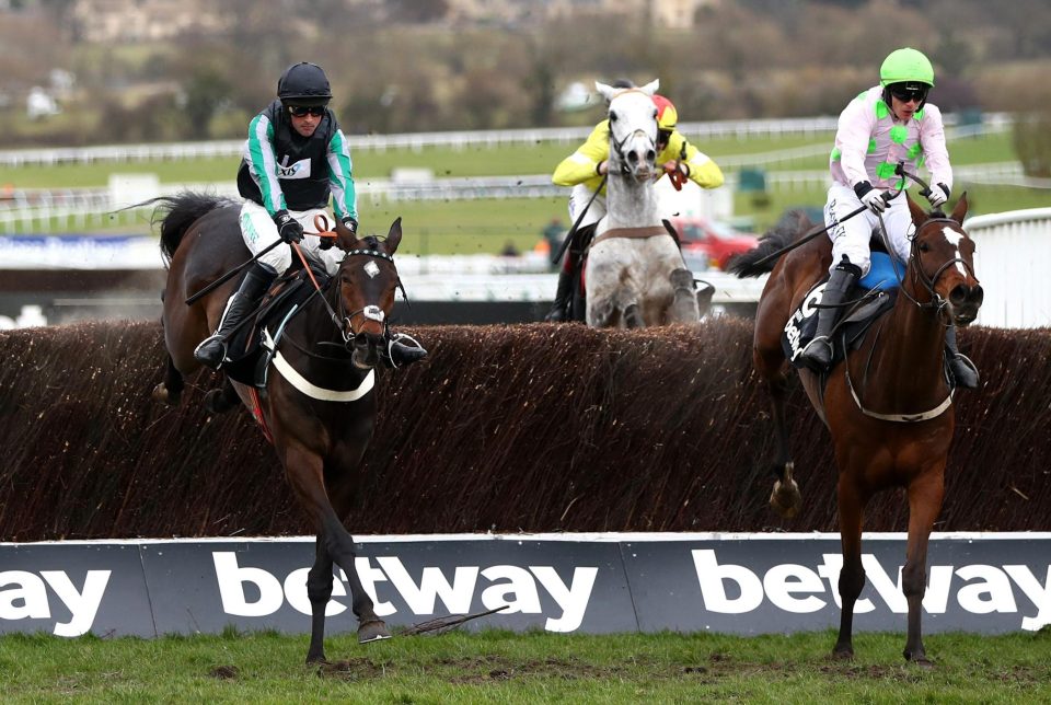  Altior (left) had to show all his class to win the Champion Chase