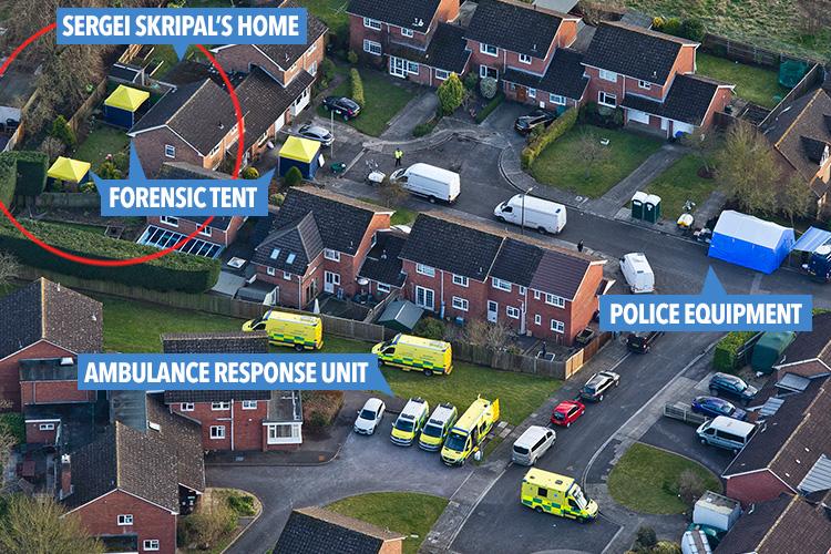  Scotland Yard officials requested help from hundreds of troops and chemical warfare specialists in the investigation into Sergei Skripal's poisoning