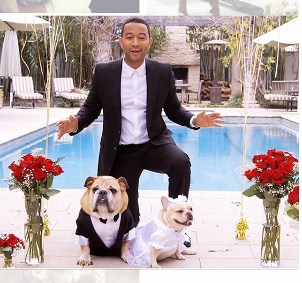 Chrissy and John even held a wedding for their pet pooch