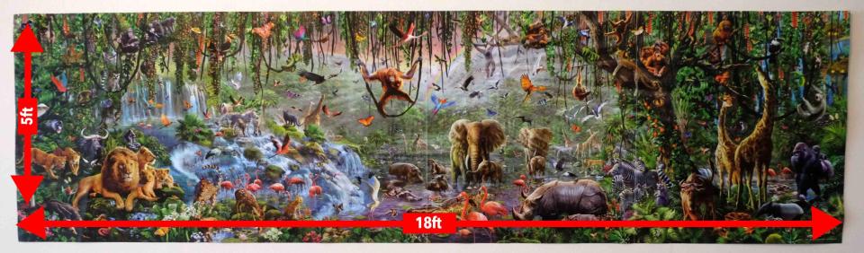  The £200 33,600 piece jungle puzzle measures 18ft 8in by 5ft 1in