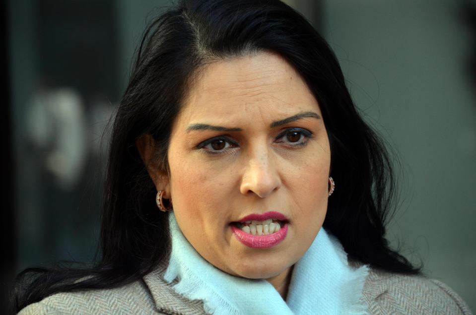  Former International Development Secretary Priti Patel said tighter immigration controls impacted industries such as curry restaurants