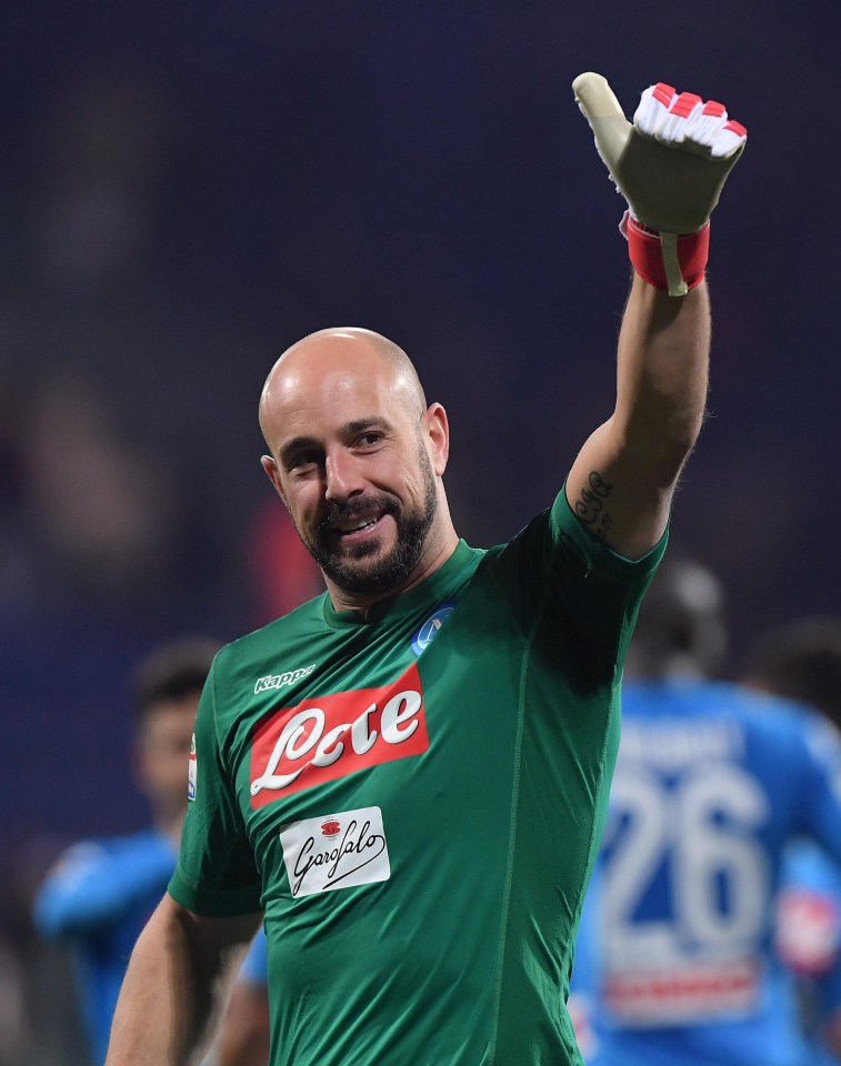 Milan have admitted they are trying to sign Napoli keeper Pepe Reina