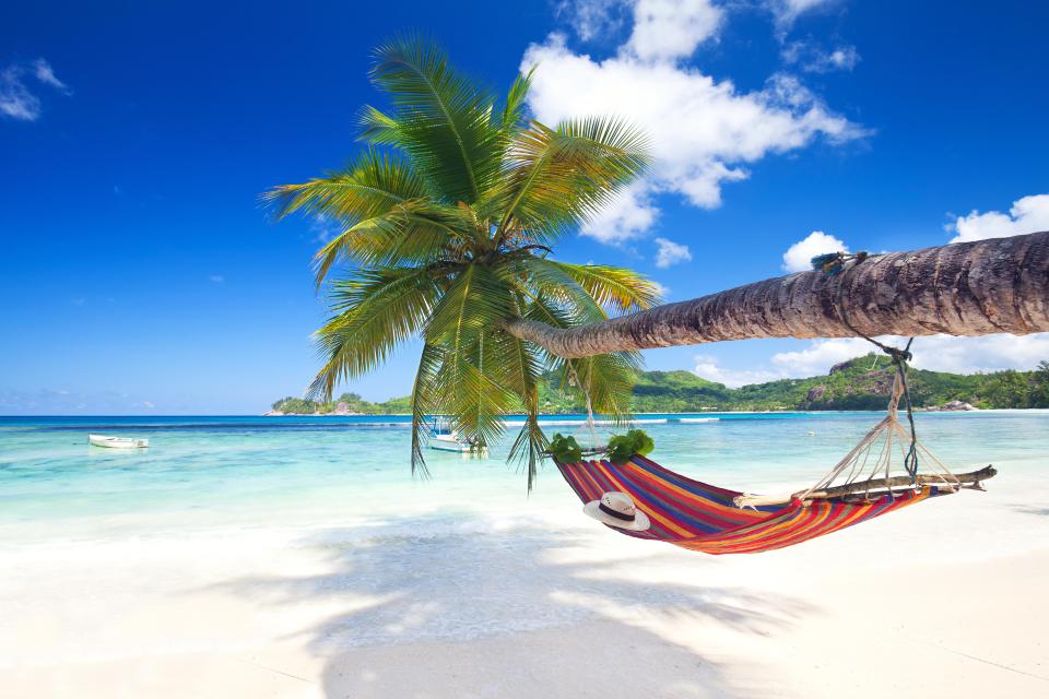  All you need is a beautiful white sandy beach a hat and a hammock to chase the winter blues away