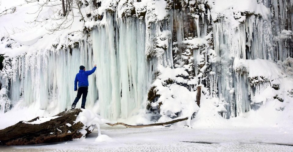  A wall of huge icicles hanging from a cliff in Teesdale, County Durham