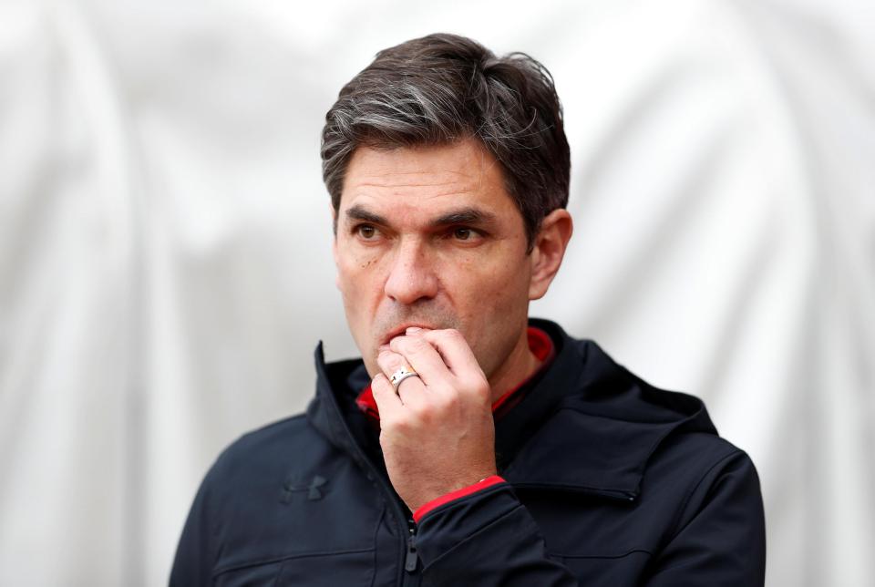 Pellegrino has failed to inspire during his one season at St Mary's