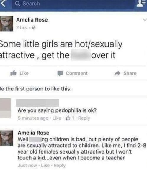  The mystery troll used Amelia's name to post this sick message - leading some to believe the photographer was behind the account