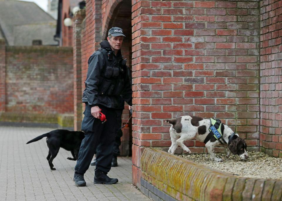 Police search dogs at work in The Maltings shopping centre in Salisbury near to where former Russian double agent Sergei Skripal and his daughter were found critically ill 