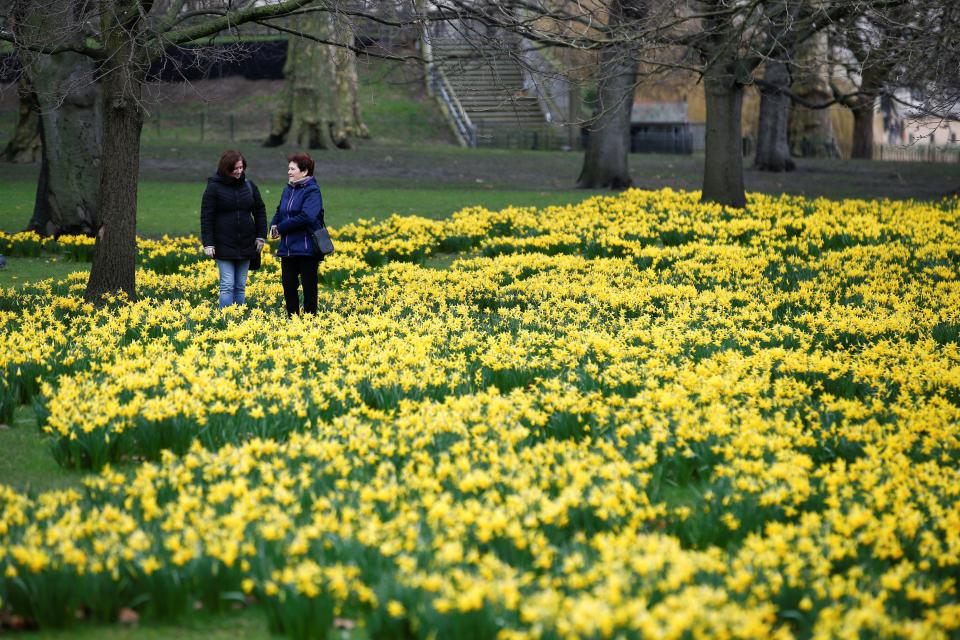  People stand among the flowers as temperatures in London rose to around 14C