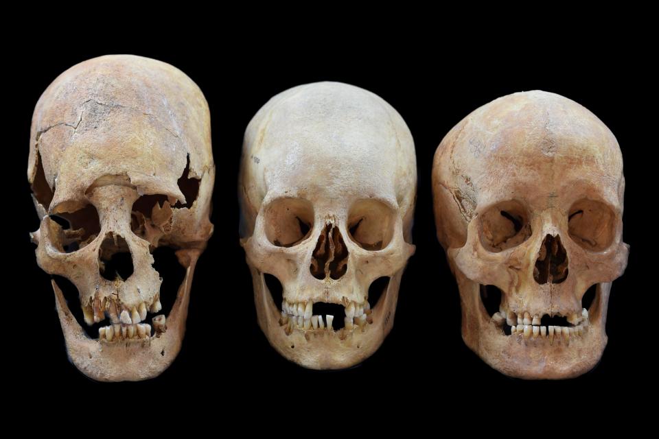  The elongated skull (far left) is 'unlike anything seen in northern Europe', scientists say