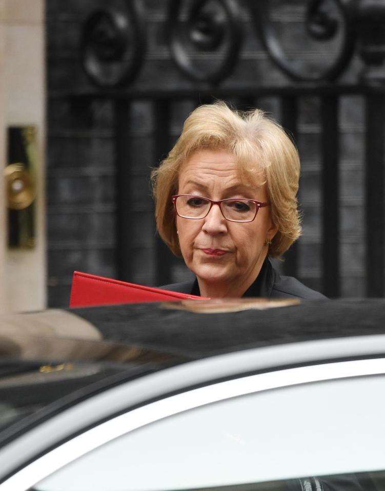  Andrea Leadsom, Commons Leader, said the allegations made on Newsnight against John Bercow were of 'huge concern'