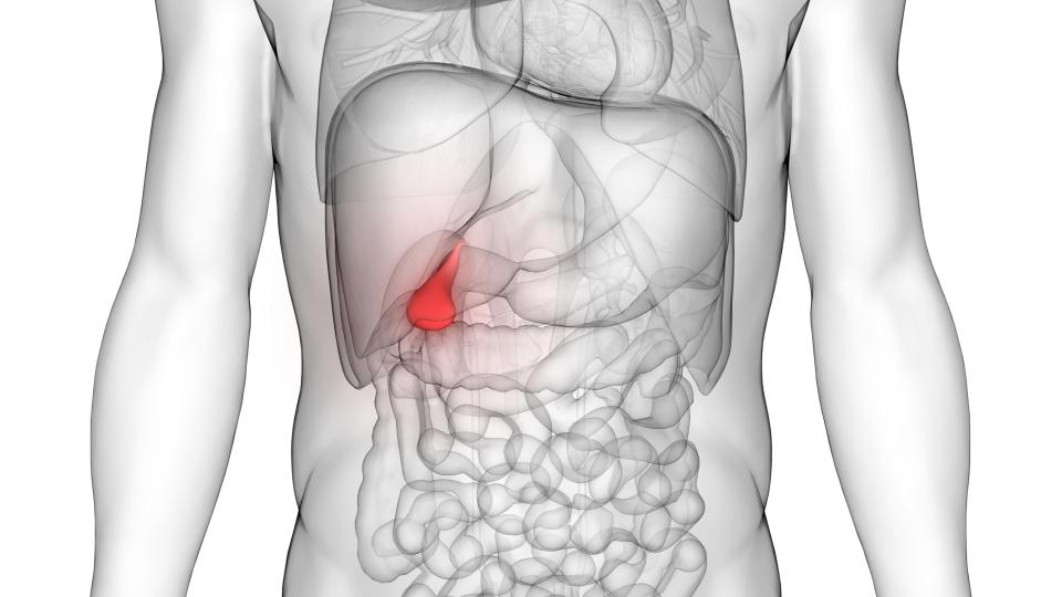  The gallbladder is a small organ in the top right-hand side of your tummy