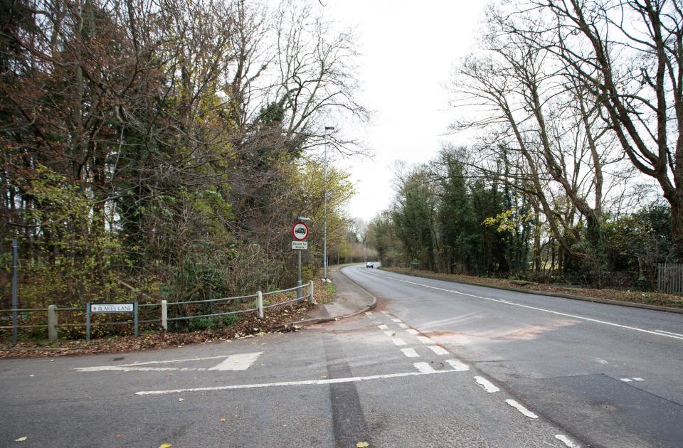  Both PC Dixon and Gladys were pronounced dead at the scene of the crash near Hare Hatch in Berks.