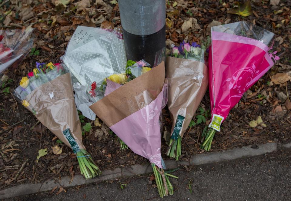  Flowers at the scene of the crash where PC Dixon and Gladys Goodwin lost their lives