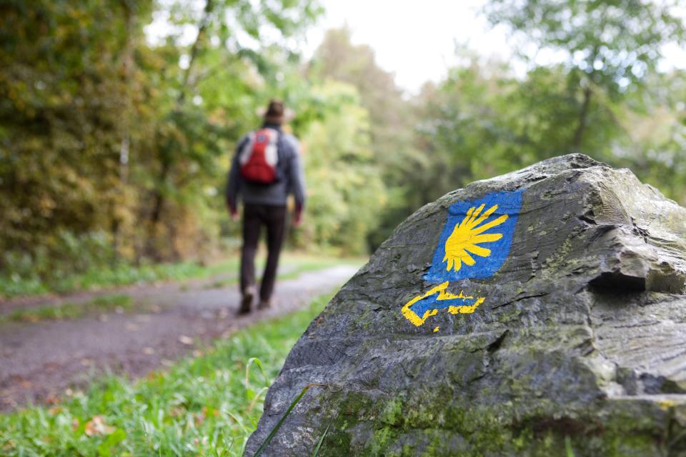  The Camino de Santiago has increased in popularity since the 1980s