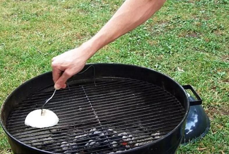  Barbecues can be difficult to clean, but half an onion will help rid it of grease