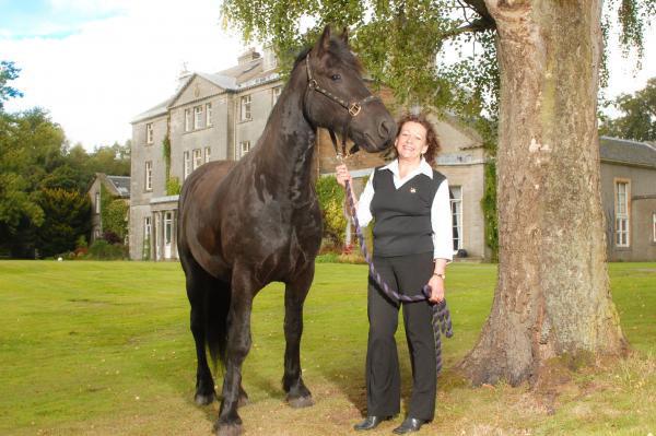  Aureol uses horse-assisted therapy at Castle Craig to teach patients about behaviour