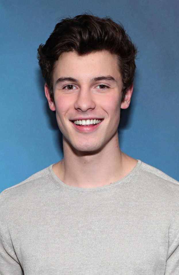 Shawn Mendes has had an unprecedented amount of success in the last couple of years