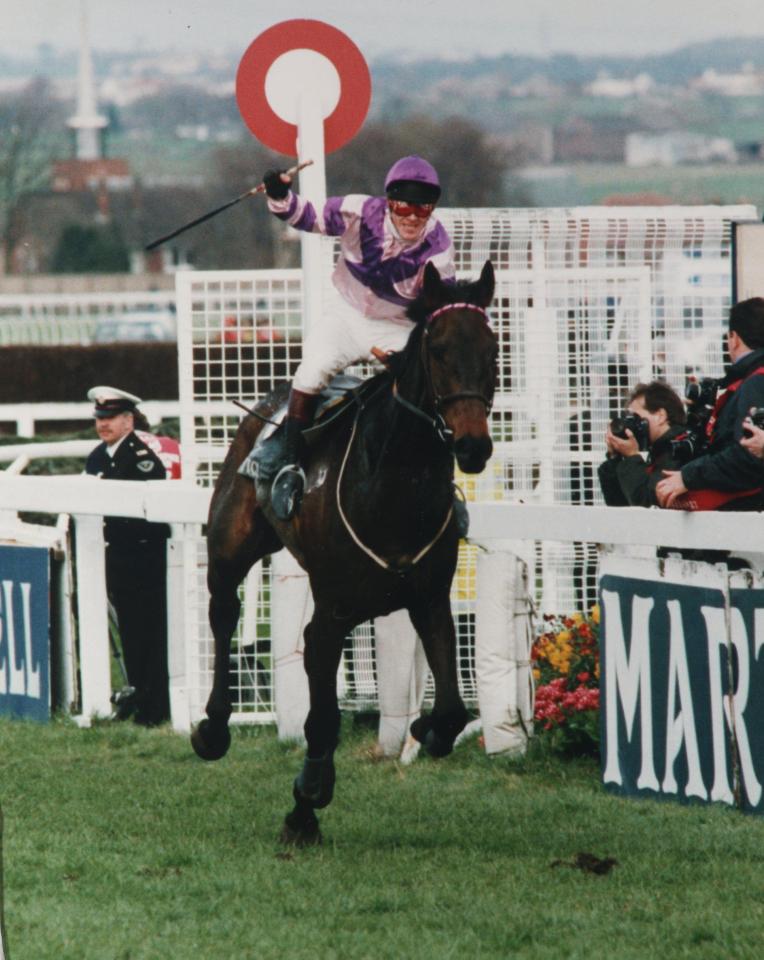  Party Politics was Carl Llewellyn's first Grand National winner in 1992