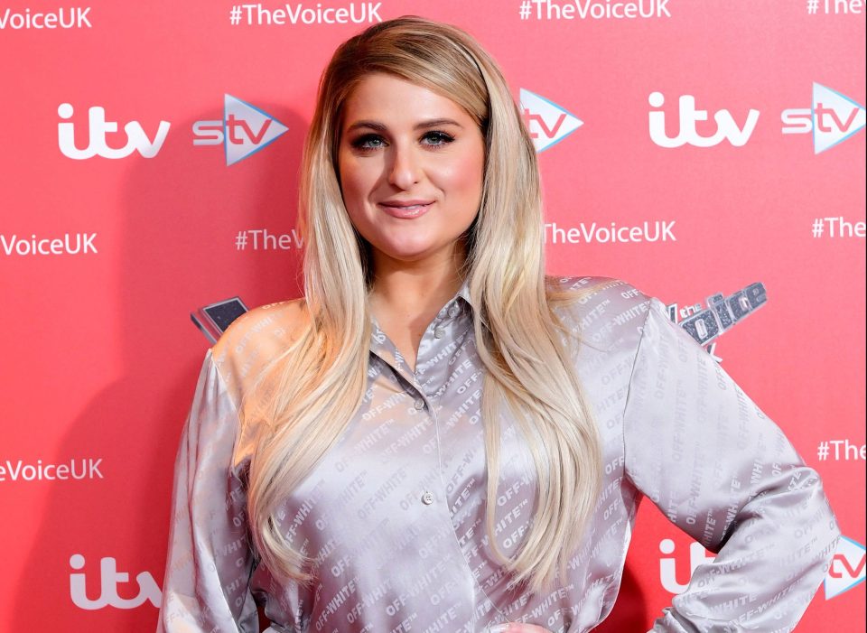  Meghan Trainor had a number one hit with All About That Bass in 2014