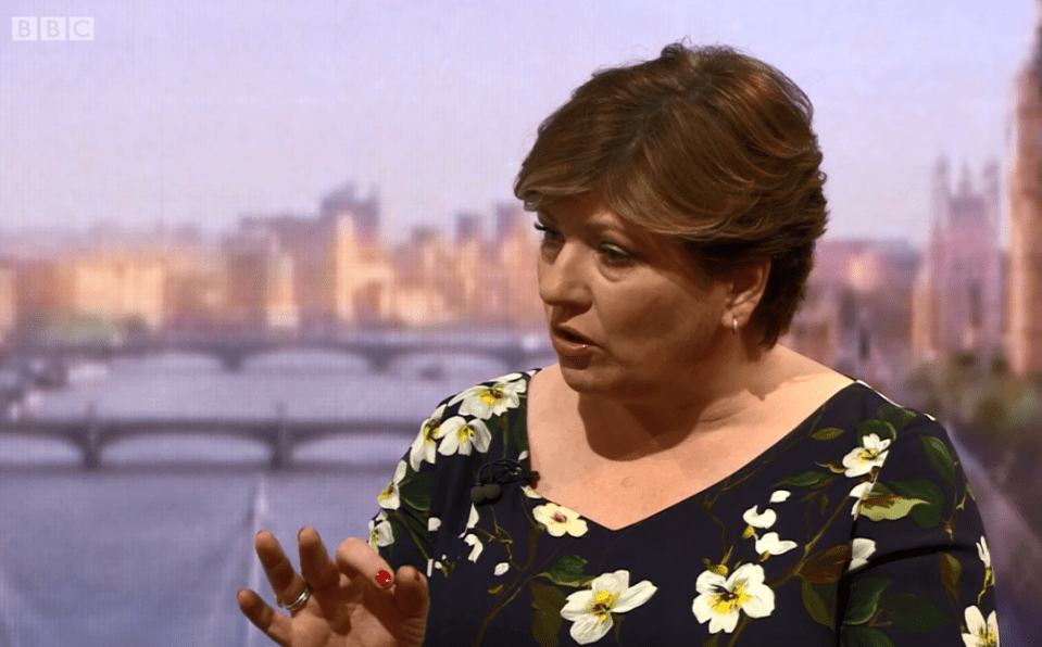  Emily Thornberry was forced to admit Labour first used the phrase 'hostile envrionment'