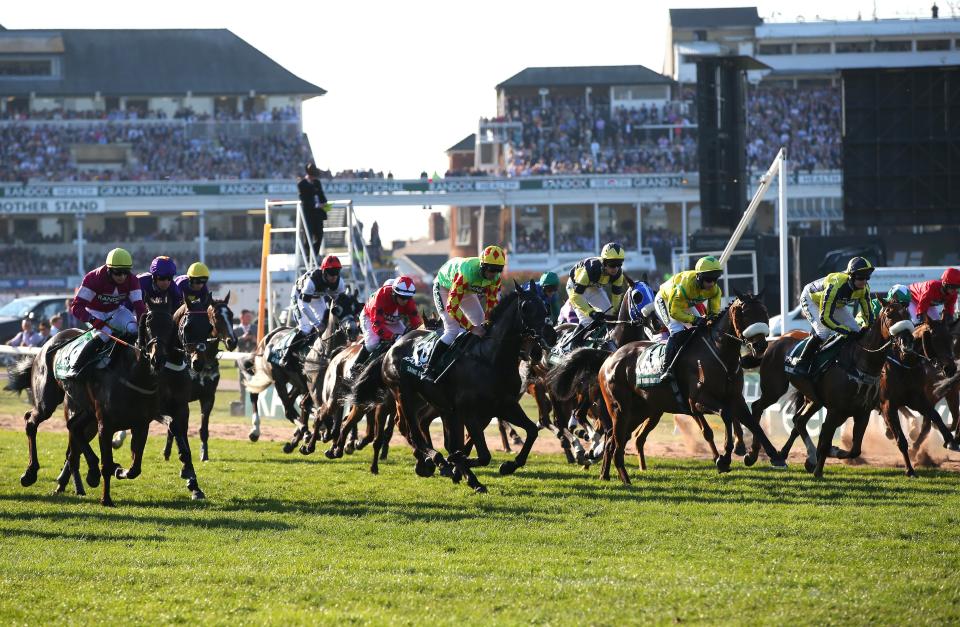  The runners can go down a bit quickly to the first fence