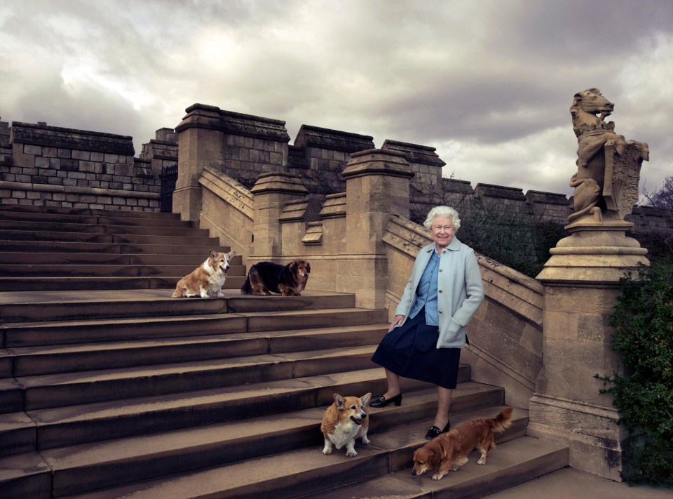 Willow, The Queen’s corgi who died last week – pictured at the top of the stairs – is the last of a long line