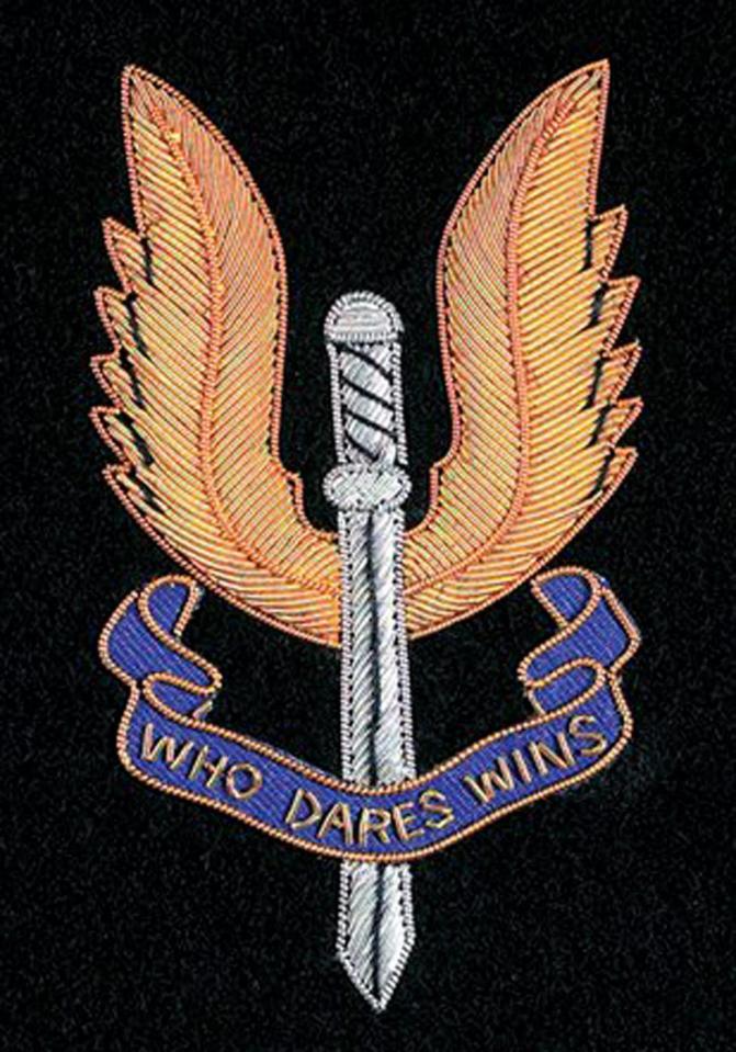  The Who Dares Wins regiment has set up a deadly task force to strike back at Islamic State